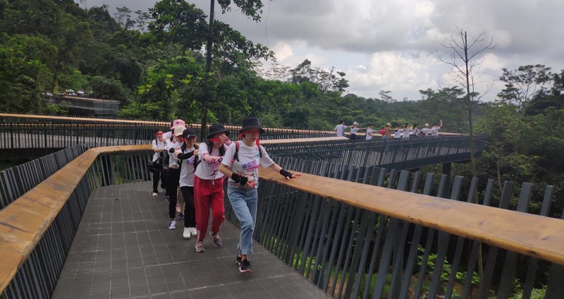 攜手并進·沖刺2019|MG不朽情緣物里營銷中心登山拓展活動圓滿結束!